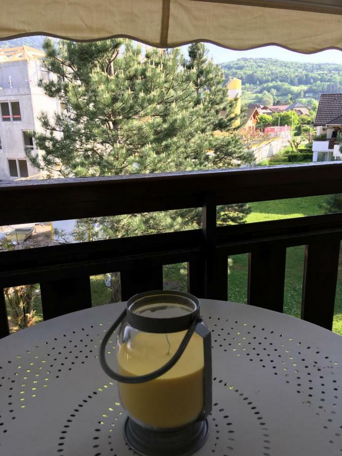 Au Cœur De Appartement Saint-Jorioz